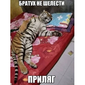 yumoreski — стикер для MAX