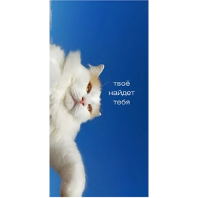 Мотивационные — стикер для MAX