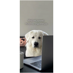 Мотивационные — стикер для MAX