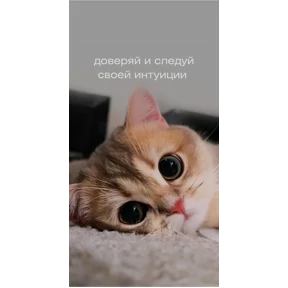 Мотивационные — стикер для MAX