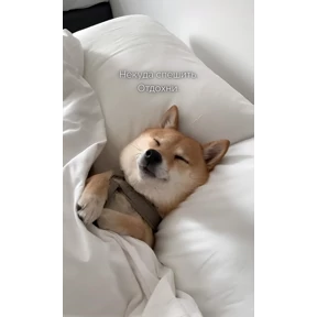 Мотивационные — стикер для MAX