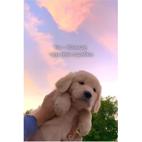 Мотивационные — стикер для MAX