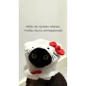 Мотивационные — стикер для MAX