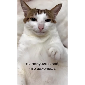 Мотивационные — стикер для MAX