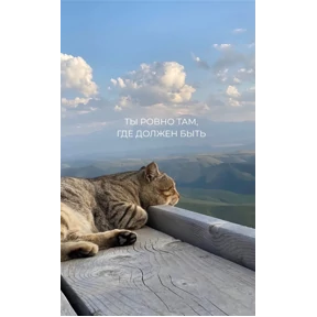 Мотивационные — стикер для MAX