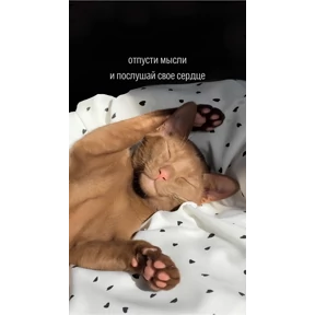 Мотивационные — стикер для MAX
