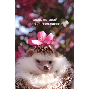 Мотивационные — стикер для MAX
