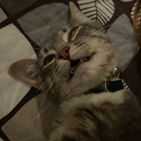юджикс — стикер для MAX