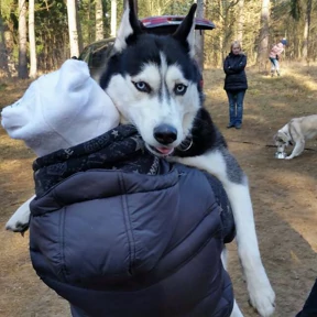 Радость — стикер для MAX