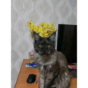 Семья — стикер для MAX