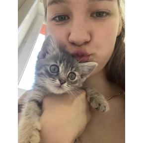 Кайя — стикер для MAX