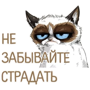 Нужо — стикер для MAX