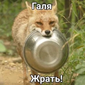 Нужо — стикер для MAX
