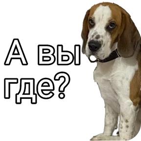Коростелкин Локи Хантерович — стикер для MAX
