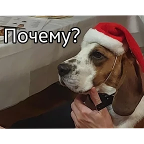 Коростелкин Локи Хантерович — стикер для MAX