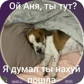 Коростелкин Локи Хантерович — стикер для MAX