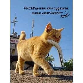 Ку — стикер для MAX