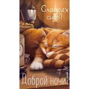 Ку — стикер для MAX