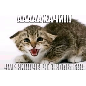 Ура — стикер для MAX