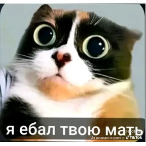 Ура — стикер для MAX