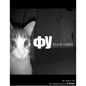 Ура — стикер для MAX