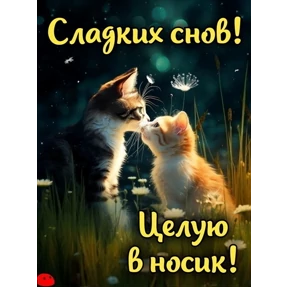 Доброй ночи — стикер для MAX