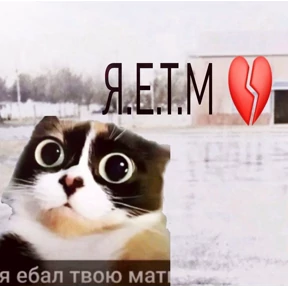 Кукич — стикер для MAX
