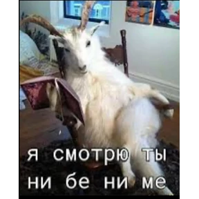 Уло, перезвони мне — стикер для MAX