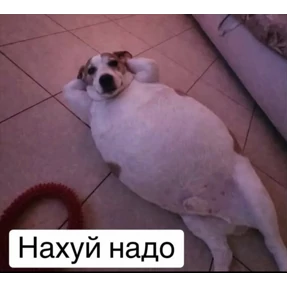 Уло, перезвони мне — стикер для MAX