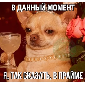 Уло, перезвони мне — стикер для MAX
