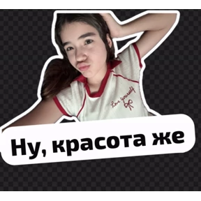Мы — стикер для MAX