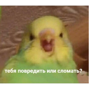 Стикеры 5 — стикер для MAX