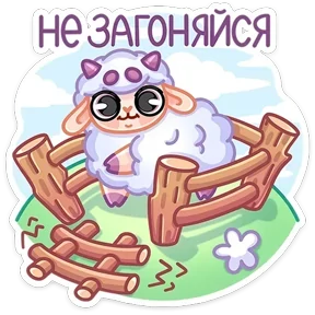 Стикер
