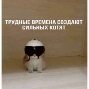 крррр — стикер для MAX