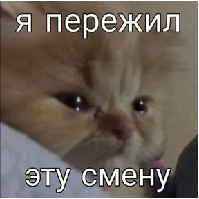 крррр — стикер для MAX