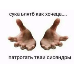 крррр — стикер для MAX