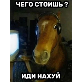 крррр — стикер для MAX