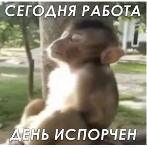 крррр — стикер для MAX