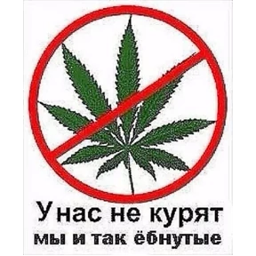 крррр — стикер для MAX