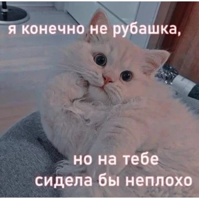 крррр — стикер для MAX