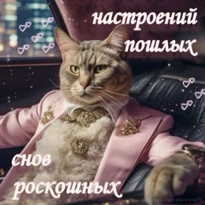 крррр — стикер для MAX
