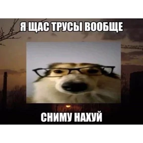 крррр — стикер для MAX