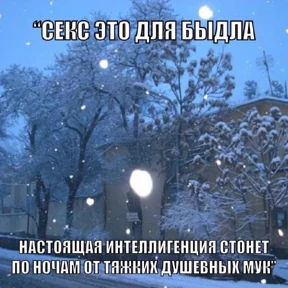 крррр — стикер для MAX