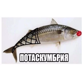 крррр — стикер для MAX