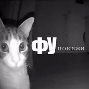 крррр — стикер для MAX