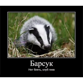 крррр — стикер для MAX