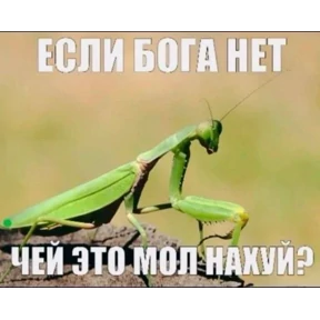 крррр — стикер для MAX