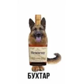 крррр — стикер для MAX