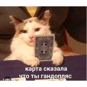 Для Переговоров — стикер для MAX