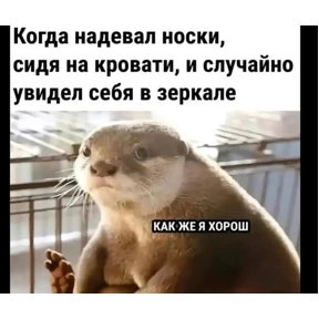 Для Переговоров — стикер для MAX
